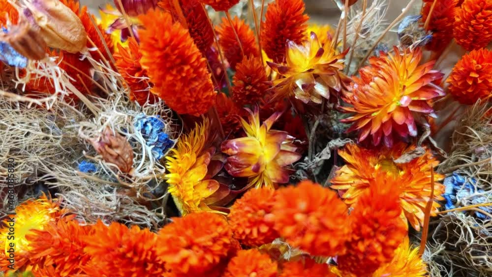 Beautiful, light and bright dry bouquet of flowers and grass. Red-orangge herbarium as a gift. Beautiful, light and bright dry bouquet of flowers and grass. Red-orangge herbarium as a gift.