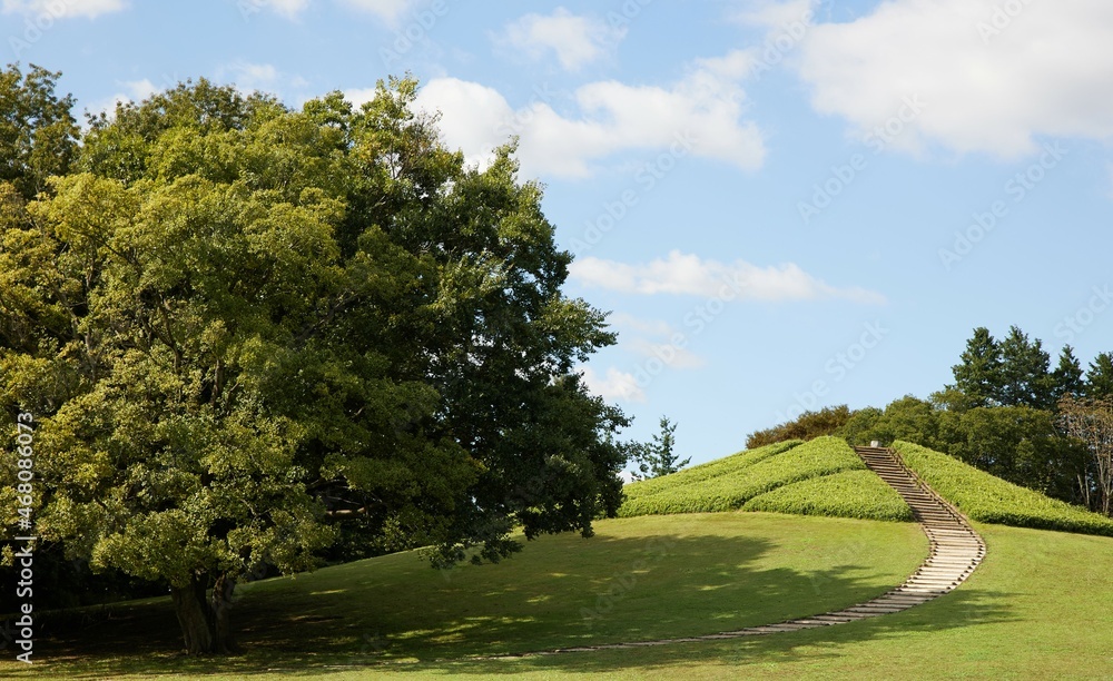 茨木県古河市古河公方公園