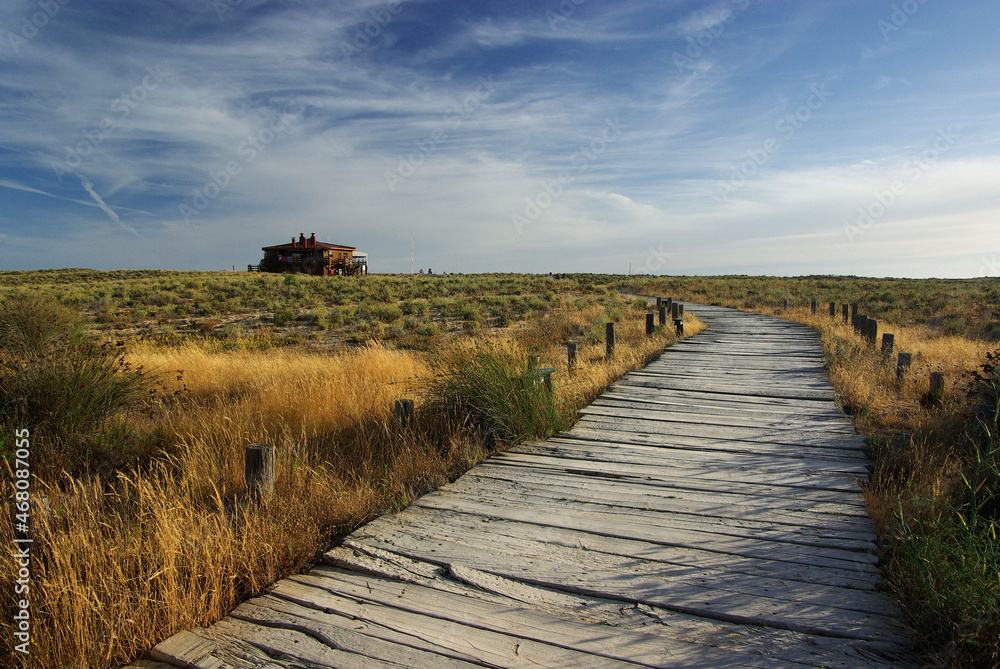 A wooden path crossing the sand dune