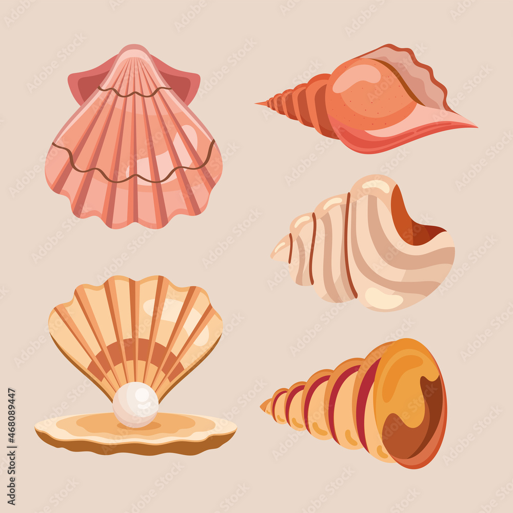 sea shells five icons sea shells five icons