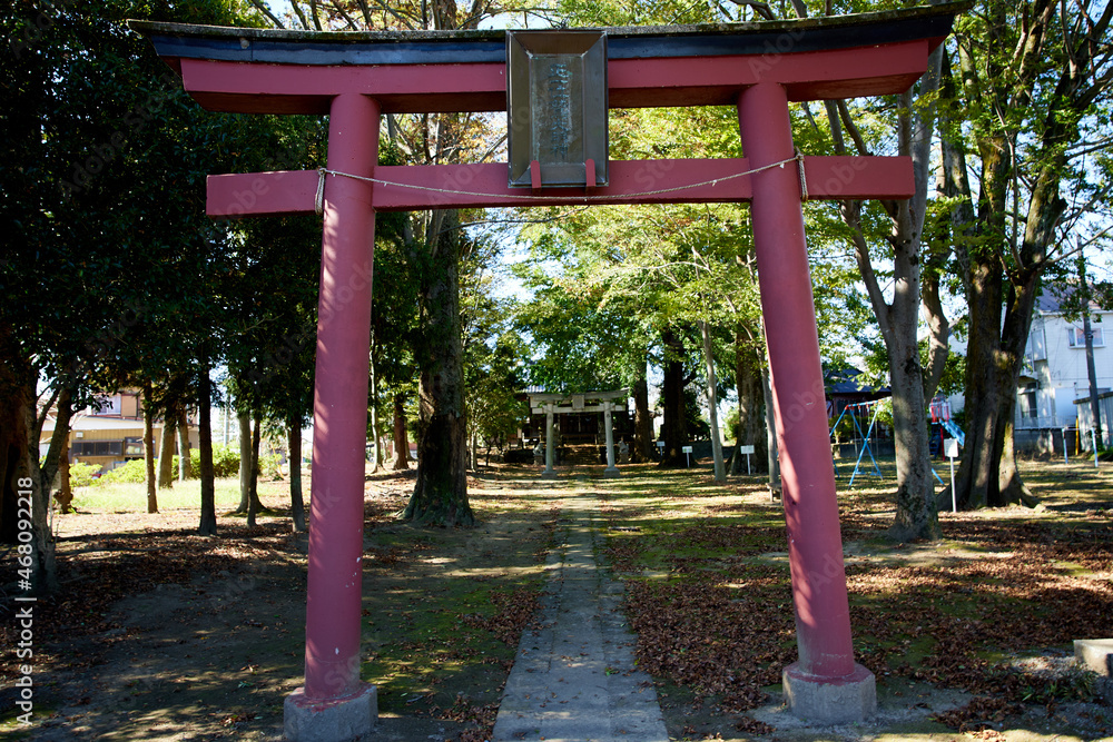 Naklejka premium 日本の神社の鳥居と新緑