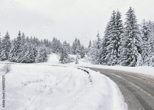Landscape with empty forest road and snow-covered trees after heavy snowfall.