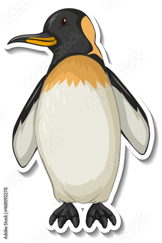 Penguin animal cartoon sticker photo