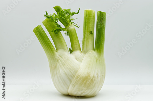 Fresh Fennel vegetable isolated on white background. Vegetarian fresh healthy food