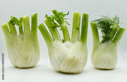 Fresh Fennel vegetable isolated on white background. Vegetarian fresh healthy food