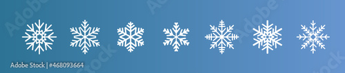 美しい雪の結晶のセット。クリスマスの素材。