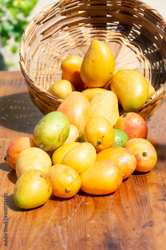 Tropical fruit with juicy sweet and sour pulp Mango