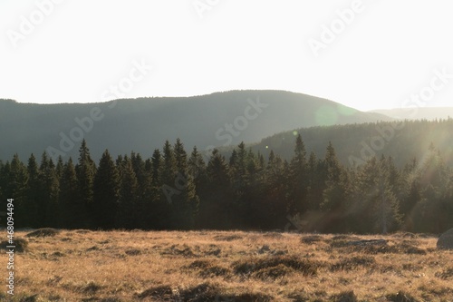 landscape od czech highest mountains krkonose photo