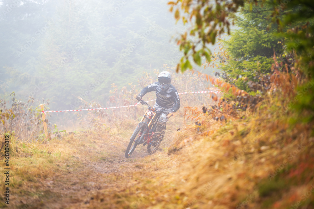 Naklejka premium hiking in the forest