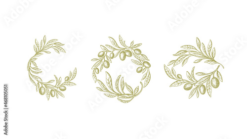 Set olive wreath in circle. Vector branch of tree