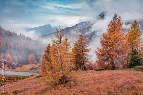 Foggy autumn view of Dolomite Alps with yellow larch trees and asphalt road on background. Colorful morning scene of mountain falley, Giau pass location, Italy, Europe. Beautiful autumn scenery..