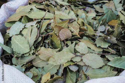Dried bay laurel leaves on display at street market in Morocco