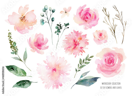 Watercolor illustration of spring flowers and leaves. Romantic elements for your design isolated on white background. Set of watercolor flowers.