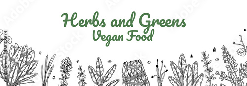 Hand drawn herbs and greens horizontal design. Vector illustration