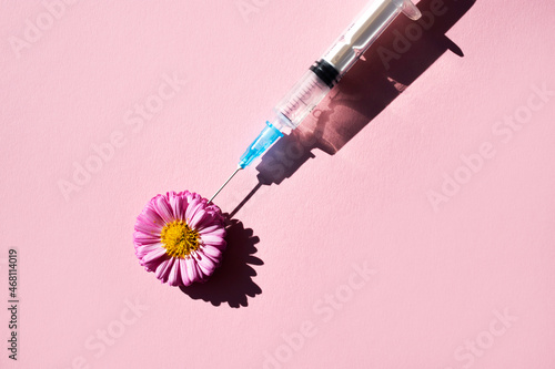 A natural pink flower and a syringe for injection casts a shadow on a pink background. View from above. The concept of cosmetic procedures.