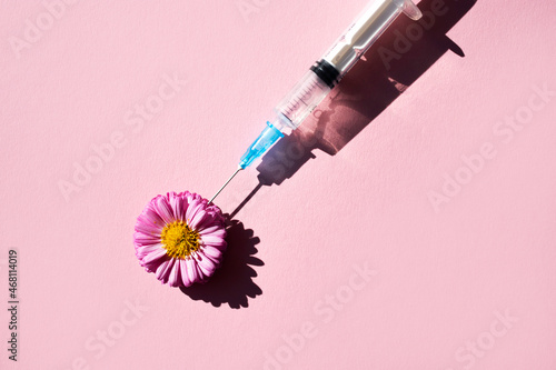 A natural pink flower and a syringe for injection casts a shadow on a pink background. View from above. The concept of cosmetic procedures. photo