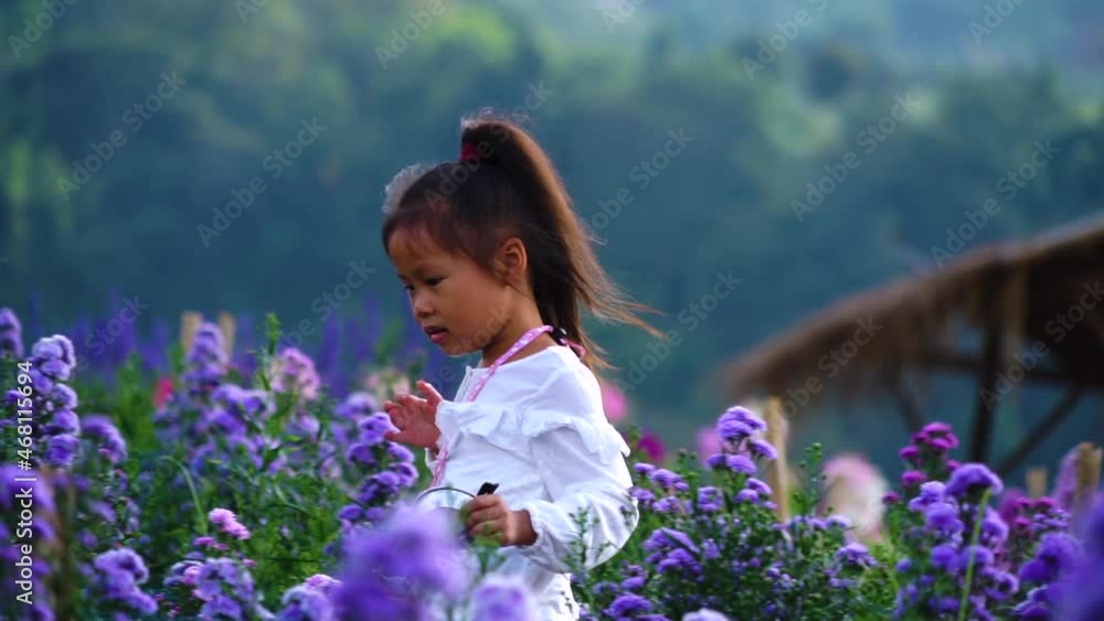 Little Asain girl walking in a flower field at Monjam Chiangmai Thailand. Little Asain girl walking in a flower field at Monjam Chiangmai Thailand.