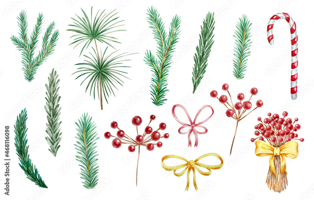Christmas branches and red Holly berries set isolated on white background, hand painted watercolor New Year elements vector illustration Christmas branches and red Holly berries set isolated on white background, hand painted watercolor New Year elements vector illustration
