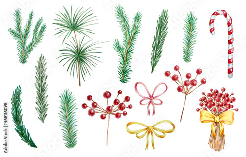 Christmas branches and red Holly berries set isolated on white background, hand painted watercolor New Year elements vector illustration