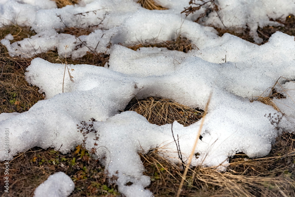 Melted snow on the background of last year's dry grass close-up in spring Melted snow on the background of last year's dry grass close-up in spring