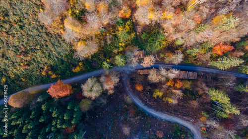Droneshot of autumn forest with path