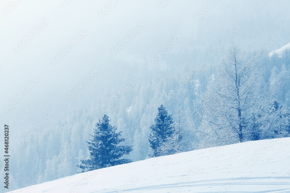 Winter mountain forest in snow Winter mountain forest in snow