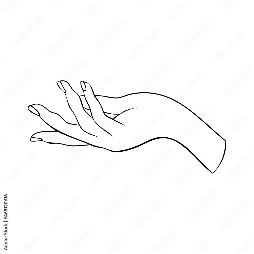 Linear silhouette of an elegant female or witch hand. Linear silhouette of an elegant female or witch hand.