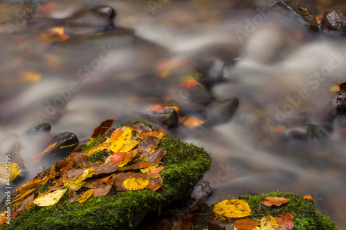 Langzeitbelichtung von Flie  ender Wasseroberfl  che in Herbststimmung