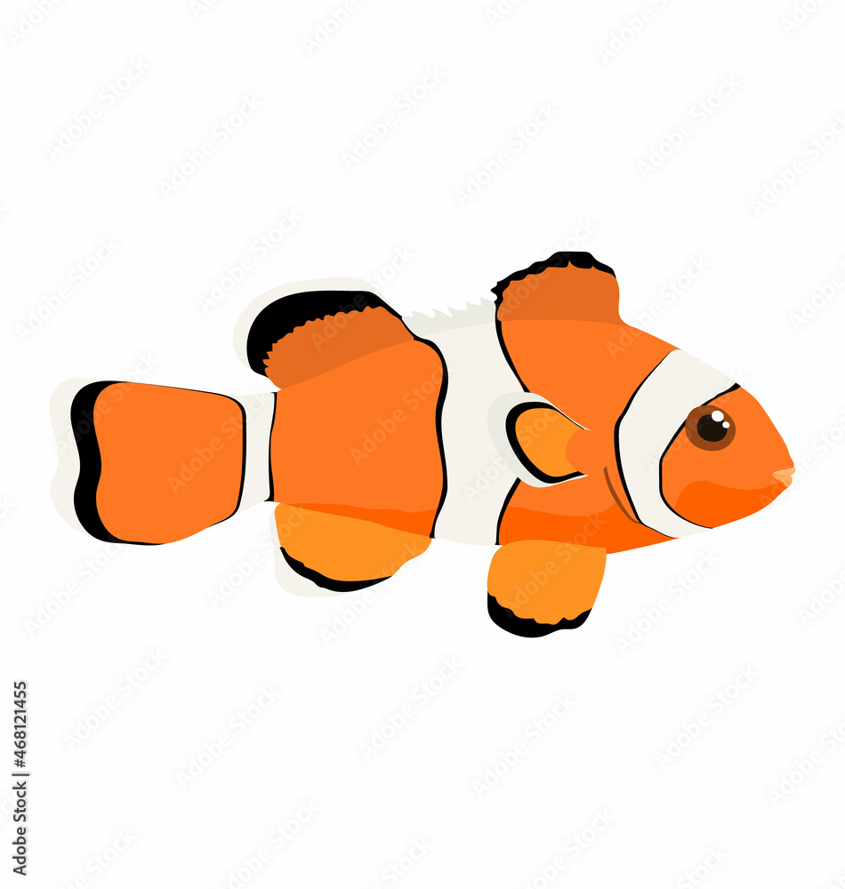 Amphiprion ocellaris - Ocellaris clownfish - Side view - Flat vector ...