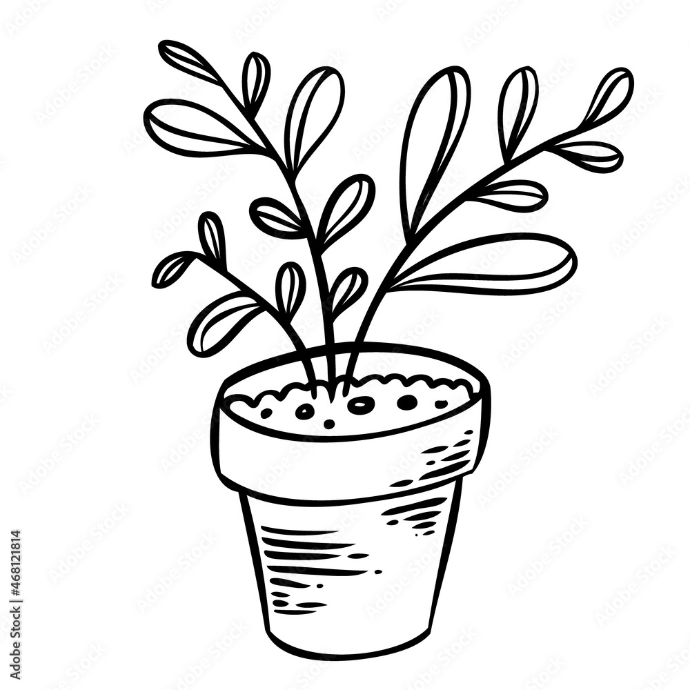 Vector illustration of a flower in a pot and sketch hand drawn Vector illustration of a flower in a pot and sketch hand drawn