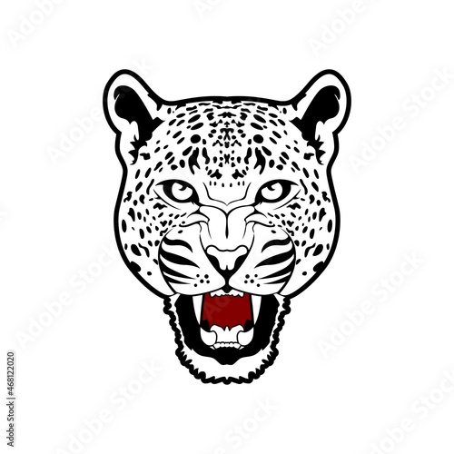 Roaring Cheetah Head Vector, Panther Head Leopard Tiger Jaguar Puma Design Inspiration