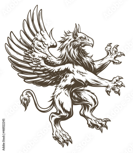 Heraldic griffin digital ink drawing