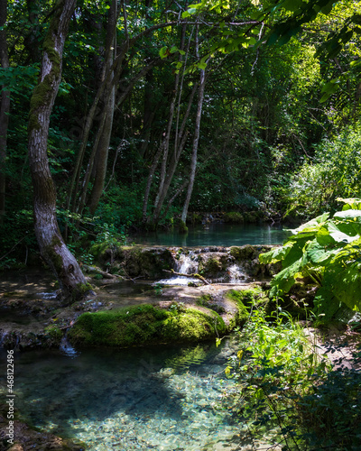 stream in the forest