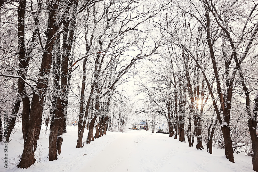 Naklejka premium landscape winter forest, seasonal beautiful view in snowy forest december nature