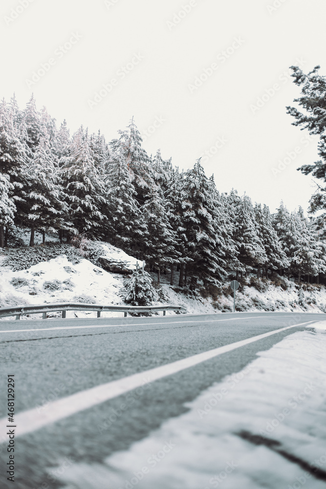 Obraz premium road in snow