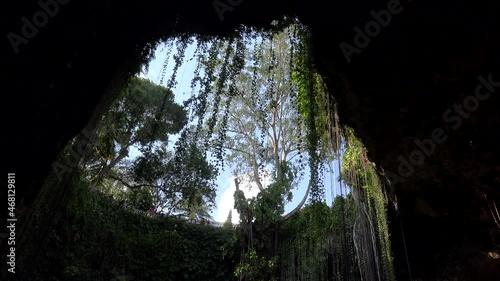 Bottom view of Ik_Kil cenote with hanging vines and roots. Tinum Municipality, Yucatan, Mexico