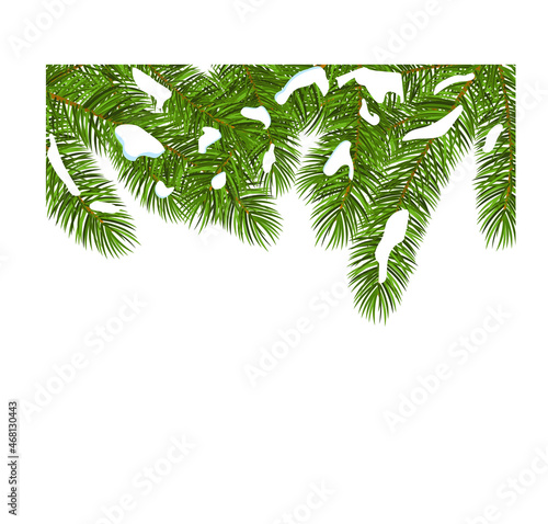 Vector image of the Christmas card with the furtree fir tree green branches with the snow and snowflakes isolated on the white background , photo