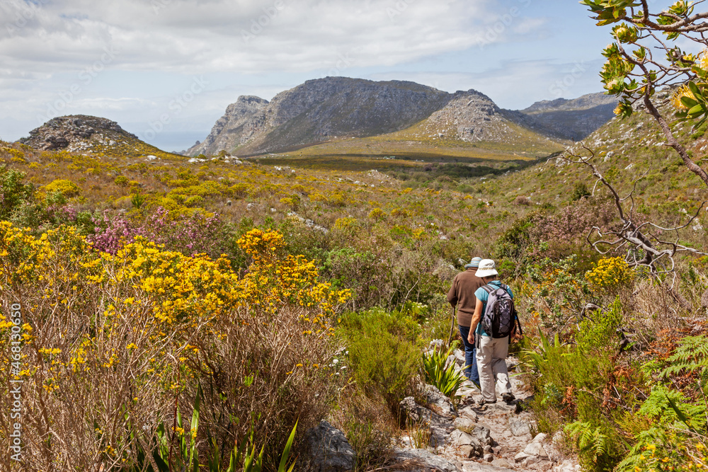 Naklejka premium Women Hiking in Table Mountain National Park