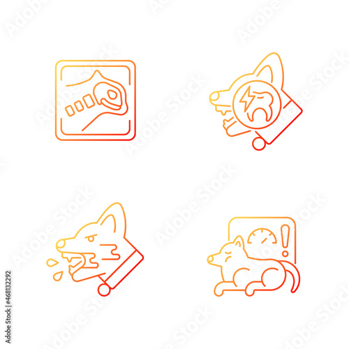 Pet treatment gradient linear vector icons set. Domestic animals illness. Pet diseases. Medical veterinary examination. Thin line contour symbols bundle. Isolated outline illustrations collection
