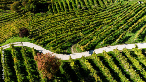 aerial vier of Valdobbiadene hill and prosecco vineyard
