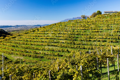 Valdobbiadene hill and prosecco vineyard