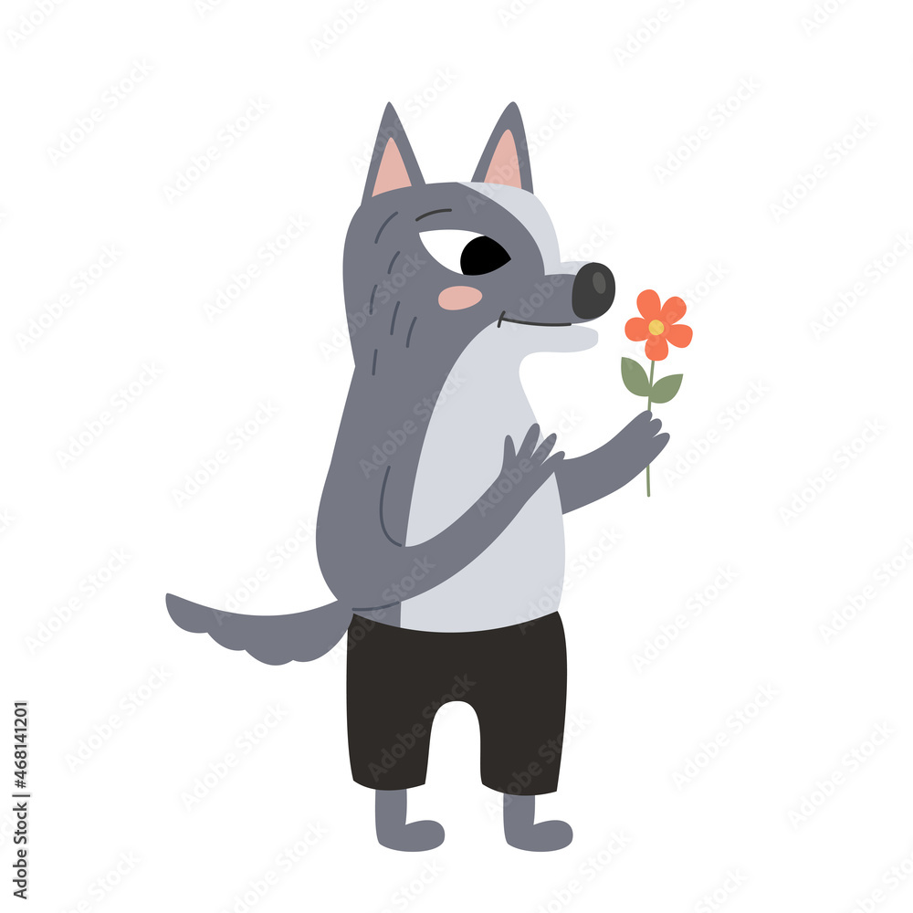 Gray romantic character wolf with a flower in its paws. Gray romantic character wolf with a flower in its paws.