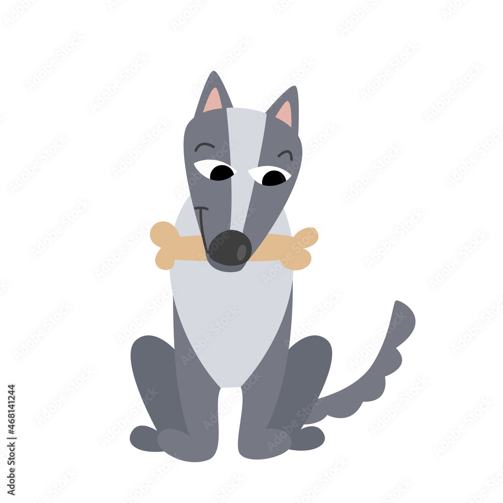 A gray cartoon wolf sits in a bone in a paste. Vector illustration of character and wild animal in flat style