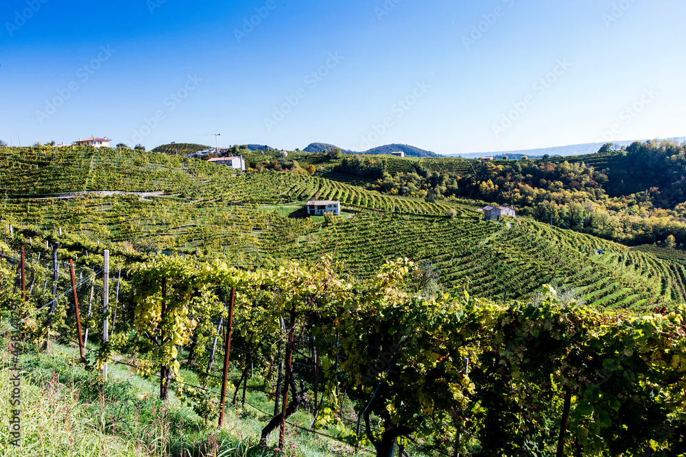 Valdobbiadene hill and prosecco vineyard
