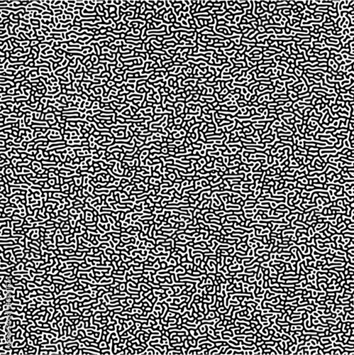 Turing pattern. Reaction-diffusion model. Chemical bases of morphogenesis.