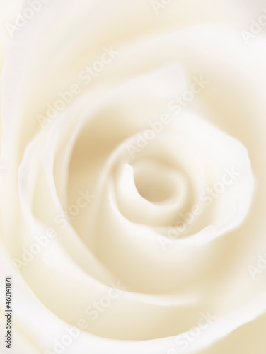 macro photography of a white rose bud