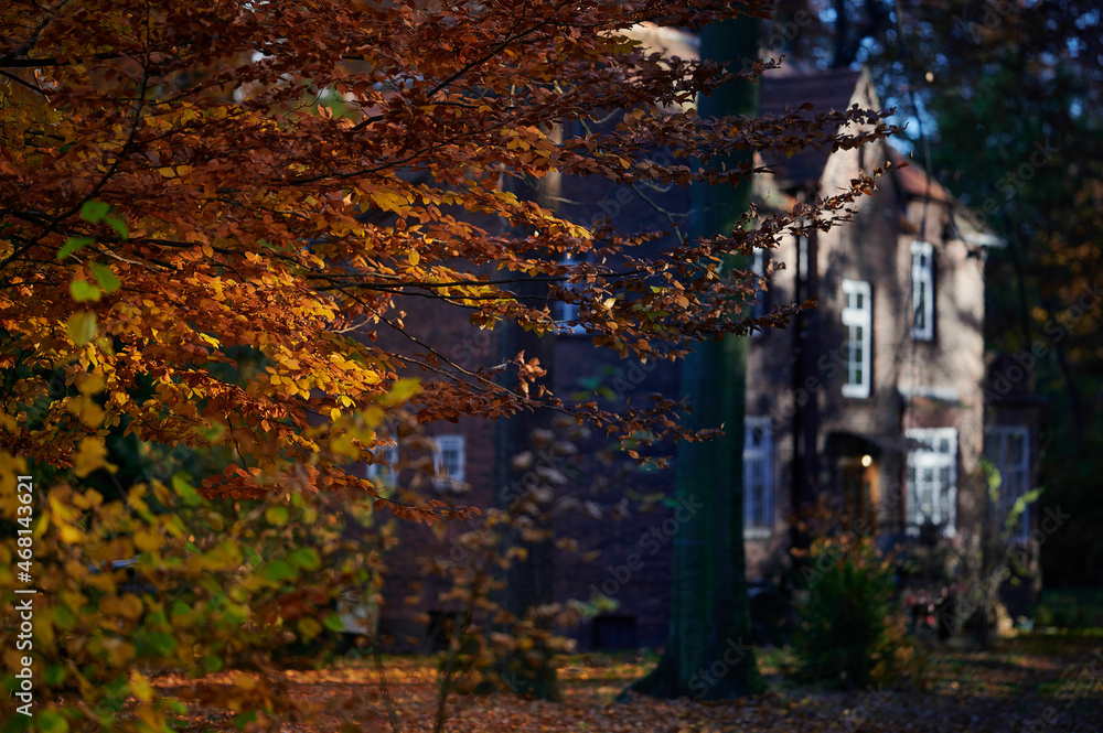 houses in the American colony mining estate in Katowice in autumn as seen from the air