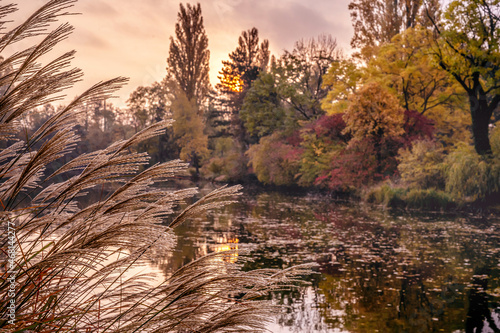 Photography Morning light in Vienna city park