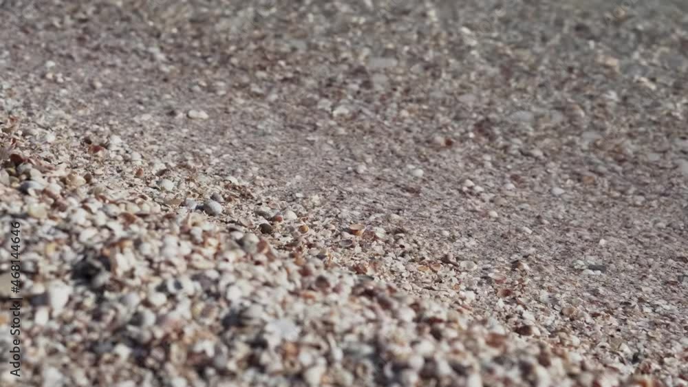 Sea wave washes the seashells. Beautiful morning ocean surf with shells. Sea wave washes the seashells. Beautiful morning ocean surf with shells.