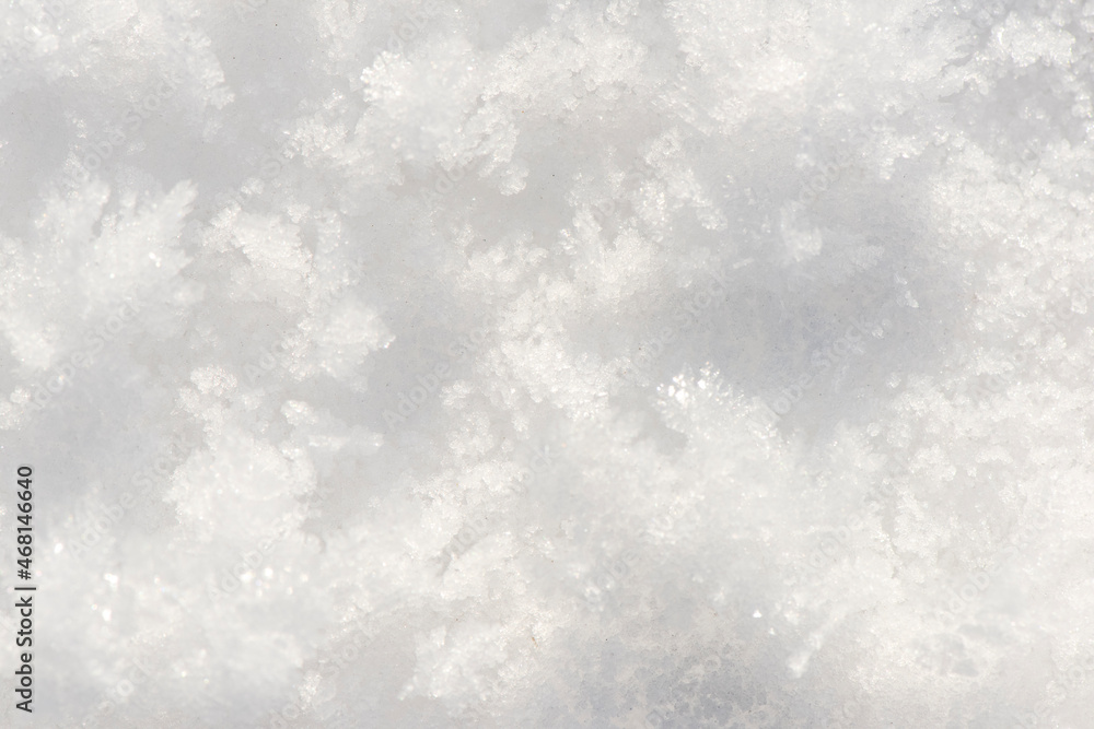 Surface of white powder snow Surface of white powder snow